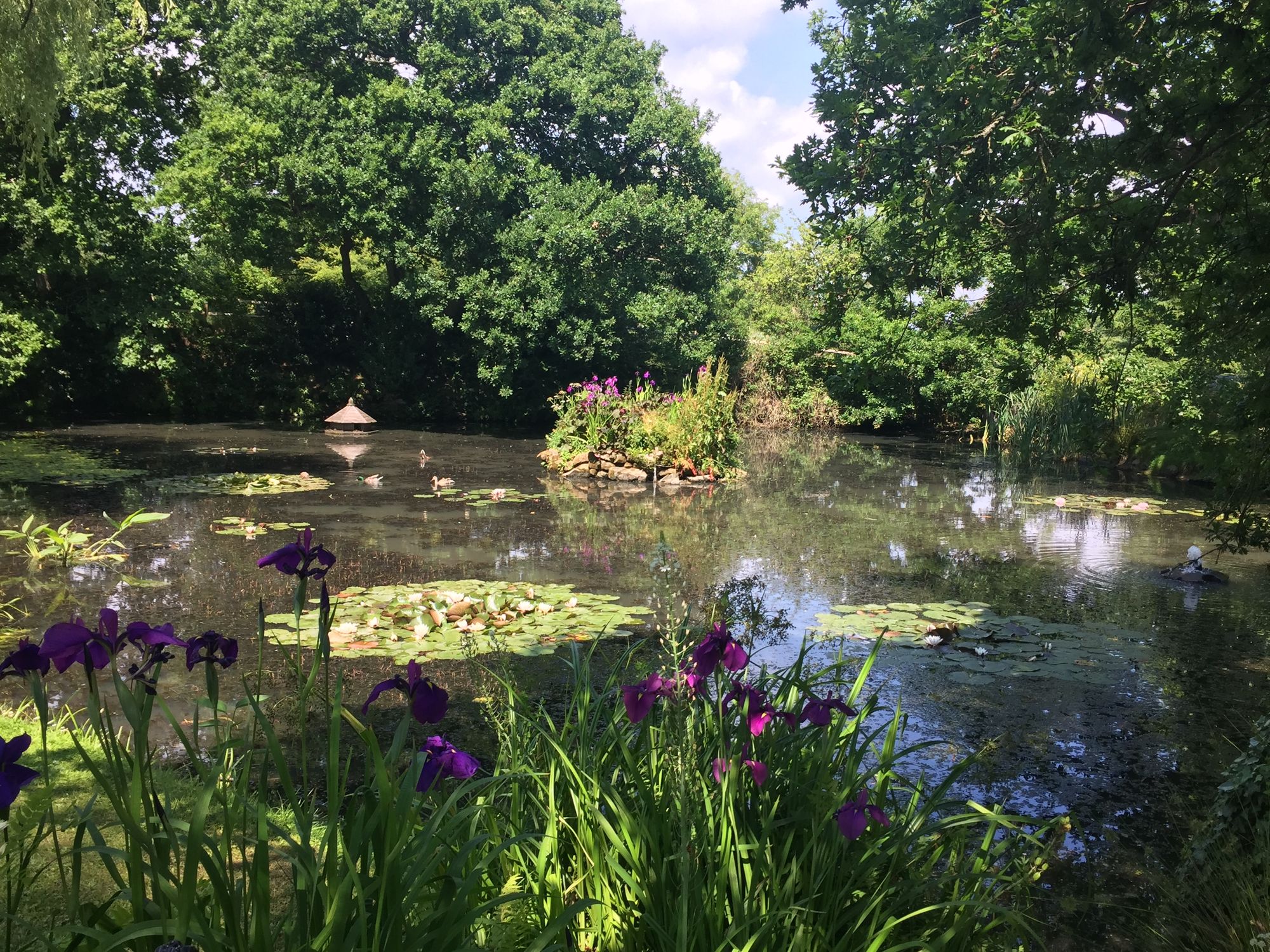 2021 - Garden and Nursery Open Days (11am-4pm)