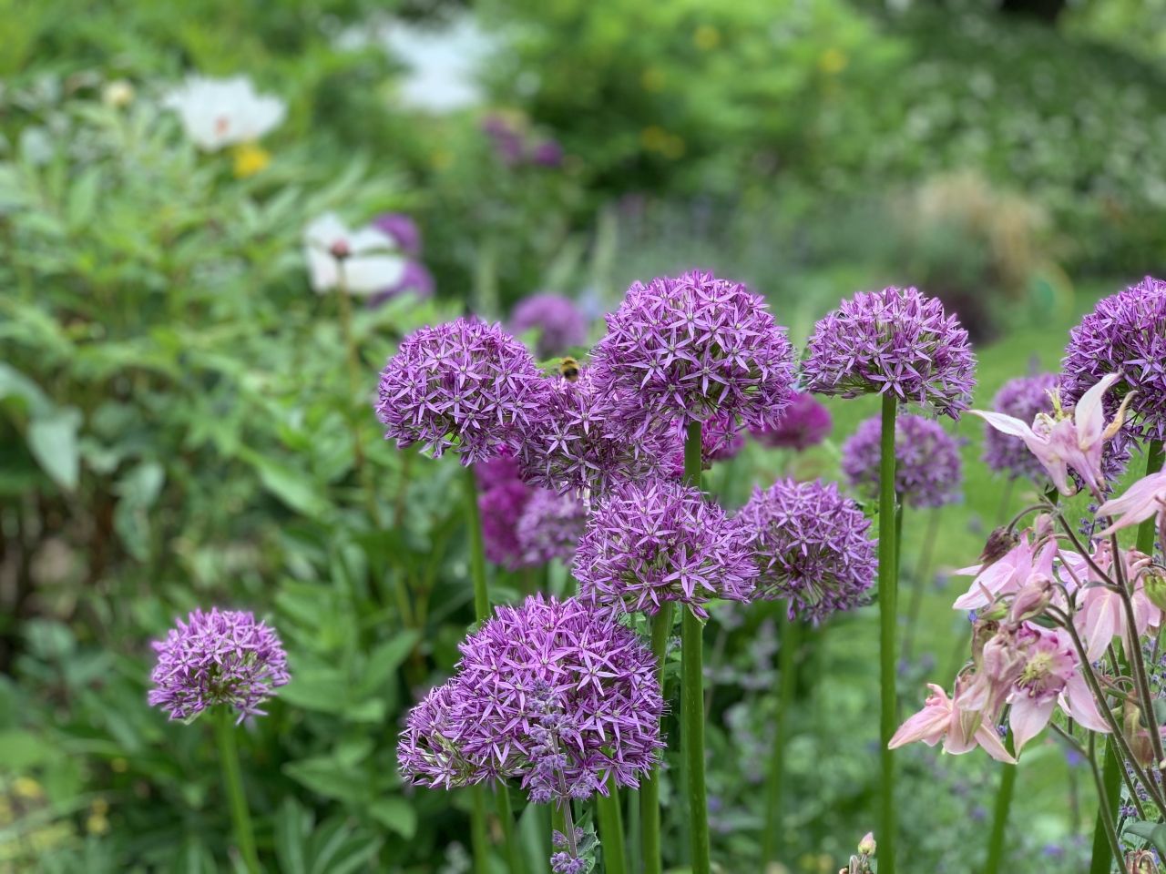 Open Gardens - Spring 2019