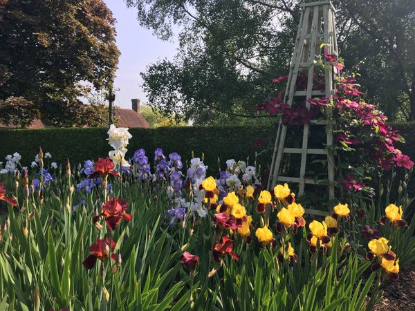 2021 - Garden and Nursery Open Days (11am-4pm)