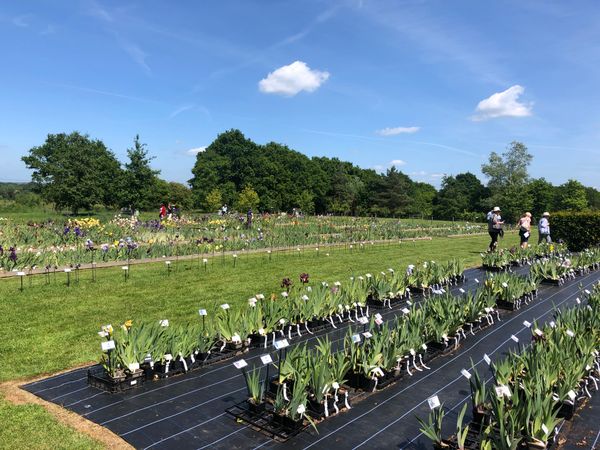 2023 Open Days, Plant Fairs and Events